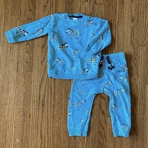 Zebra sweat suit set